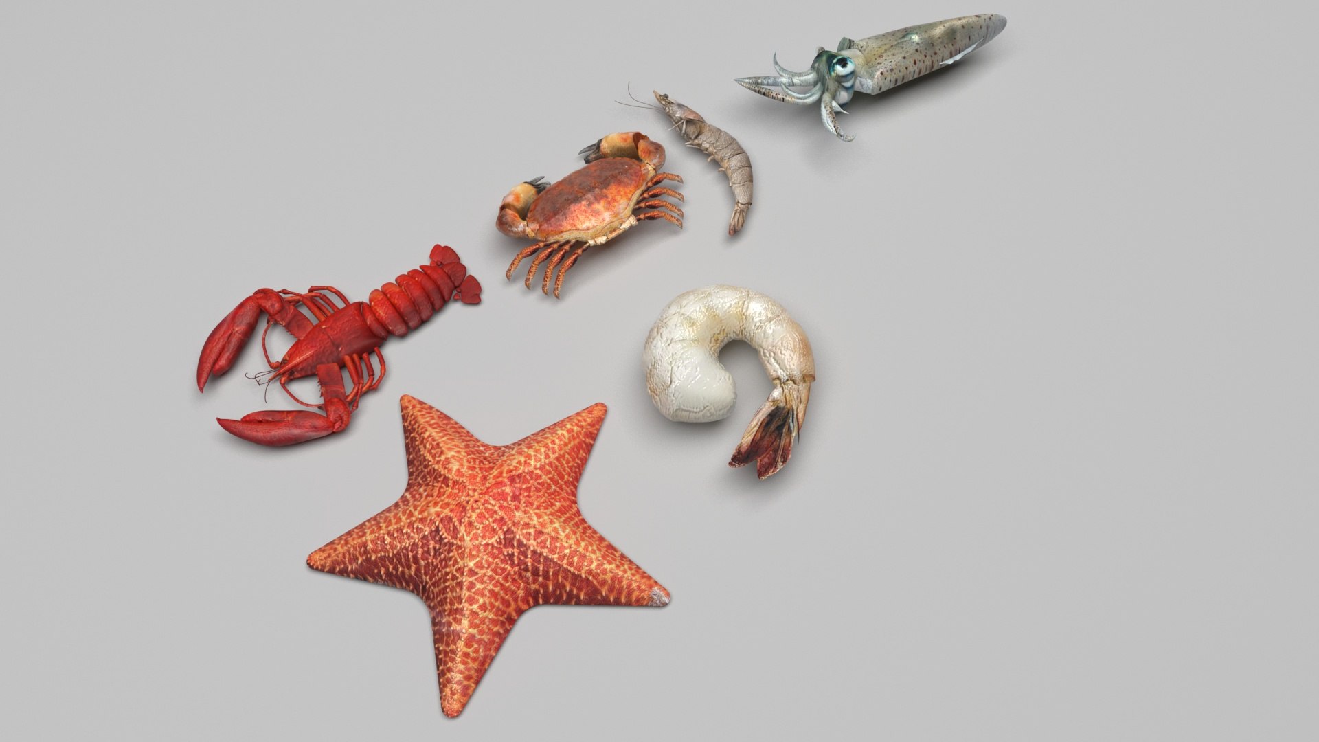 Sea Creatures Set model https://p.turbosquid.com/ts-thumb/28/BwTRVE/rk/seacreaturessetnew5/jpg/1725964478/1920x1080/fit_q87/27fe731376f705d20fe26d1633e5baf1cbab3ab1/seacreaturessetnew5.jpg