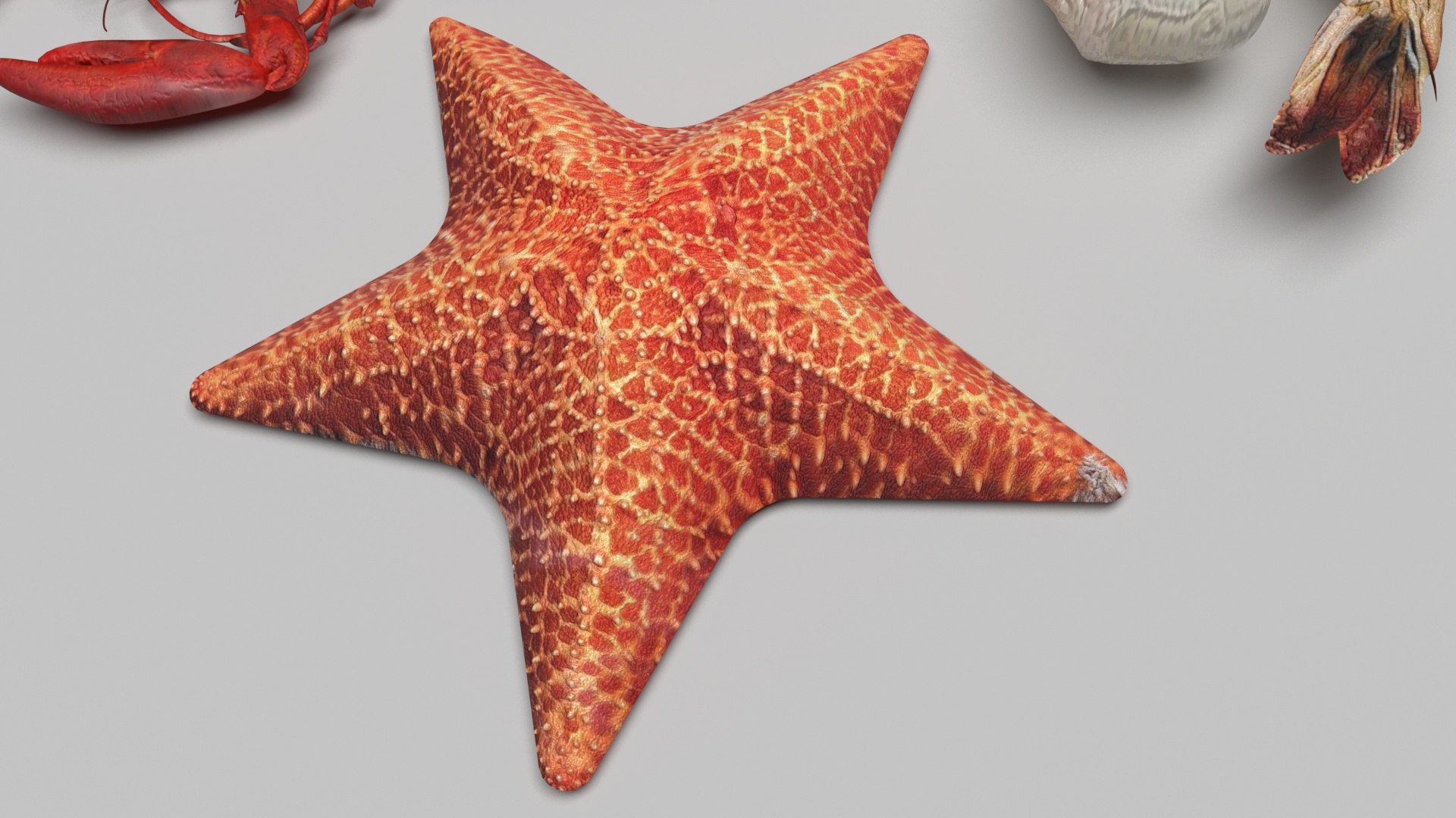 Sea Creatures Set model https://p.turbosquid.com/ts-thumb/28/BwTRVE/tU/seacreaturessetnew10/jpg/1725964476/1920x1080/fit_q87/6d07c964b25a9bbc0516ec5cf596e35738eb59c8/seacreaturessetnew10.jpg