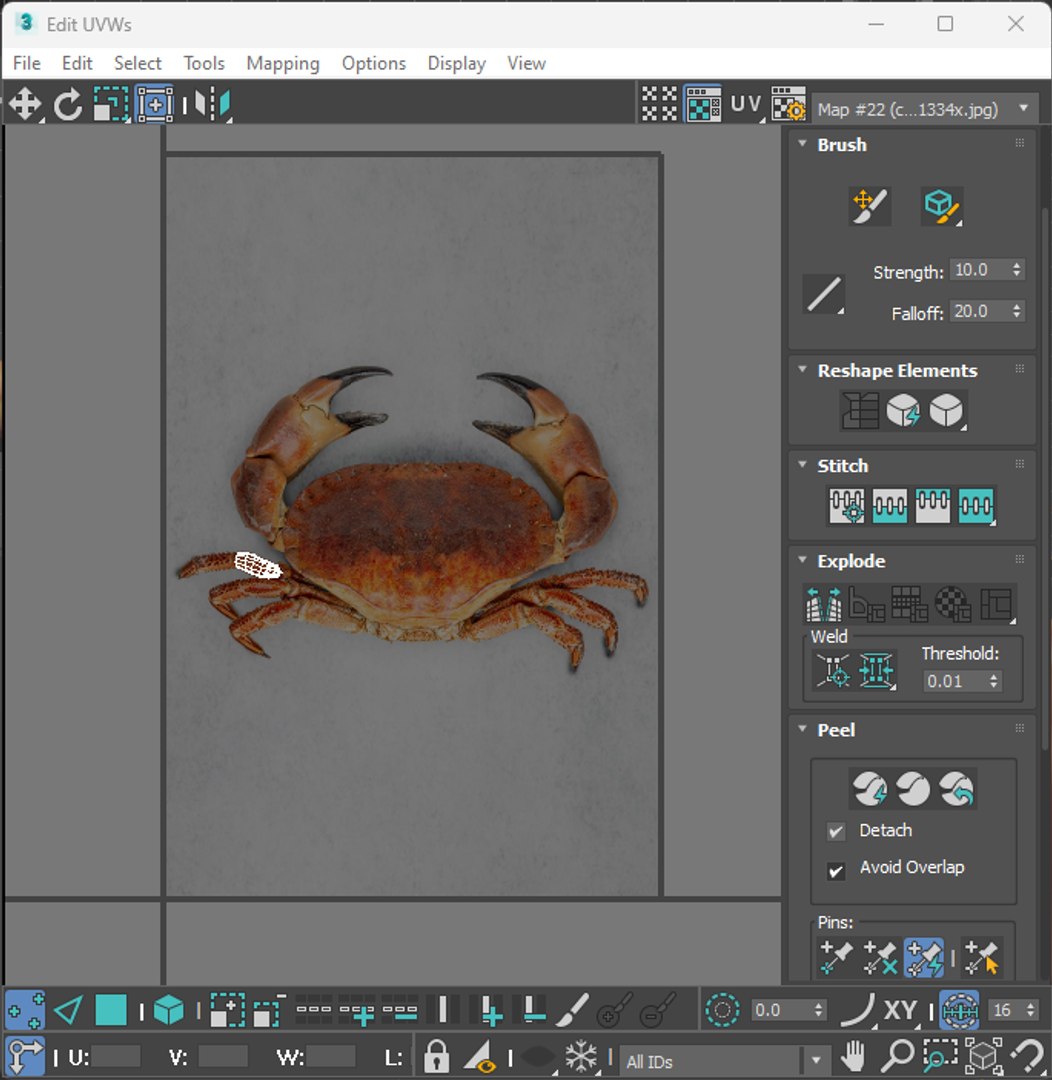 Sea Creatures Set model https://p.turbosquid.com/ts-thumb/28/BwTRVE/tm/screenshot20240125143115/png/1725964742/1920x1080/fit_q87/89a308b6e9d21de599815ad3ddd5b3f1c87b5486/screenshot20240125143115.jpg