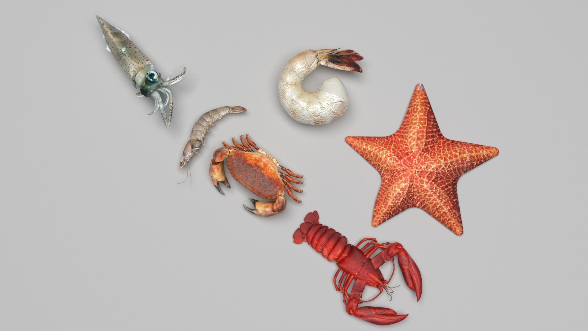 Sea Creatures Set model https://p.turbosquid.com/ts-thumb/28/BwTRVE/x9/seacreaturessetnew4/jpg/1725964478/1920x1080/fit_q87/f88bca3d268bed113d45a934024bf1591631a74d/seacreaturessetnew4.jpg