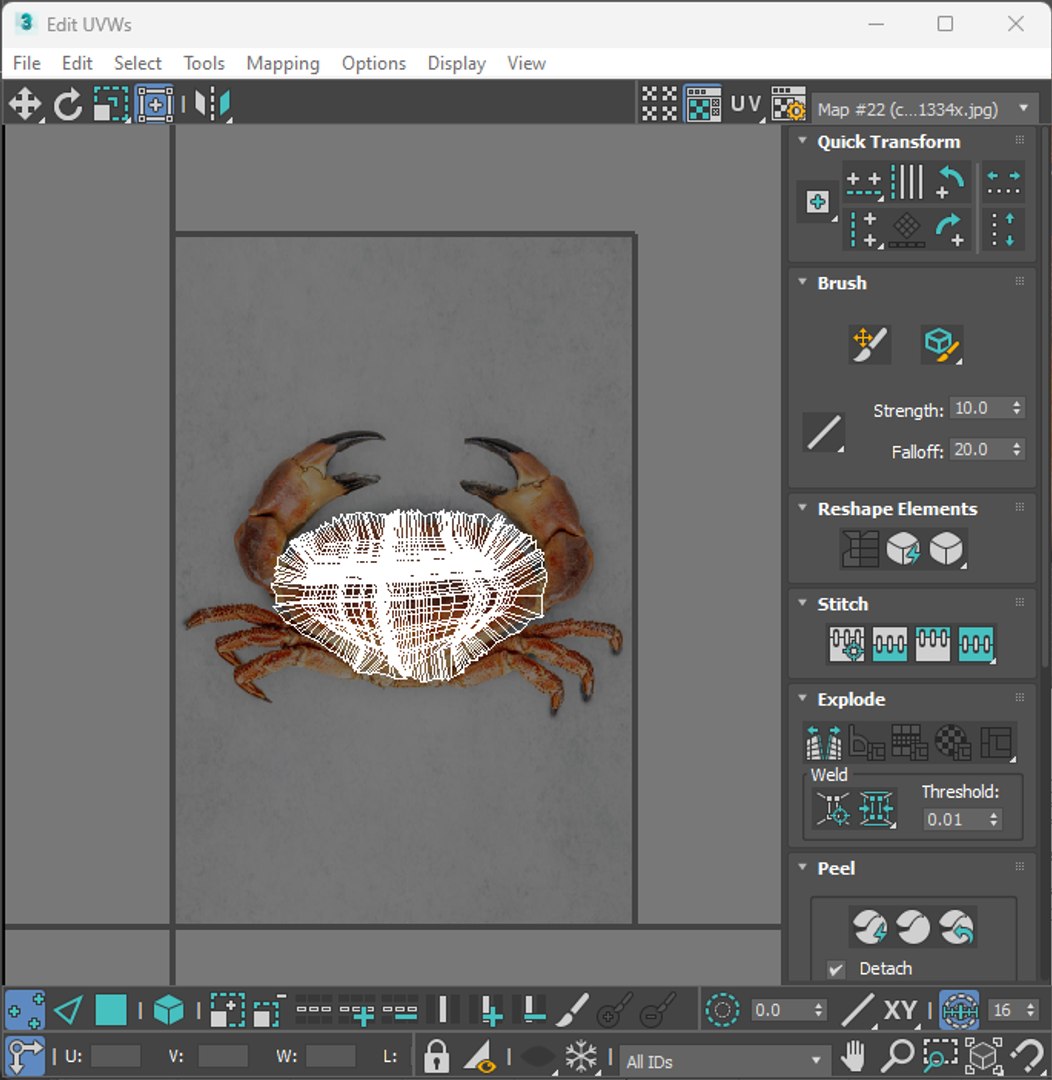Sea Creatures Set model https://p.turbosquid.com/ts-thumb/28/BwTRVE/ze/screenshot20240130231311/png/1725964773/1920x1080/fit_q87/cf3c0b0af8fdd10e12ae55e1e9007f2a7b1cab9a/screenshot20240130231311.jpg