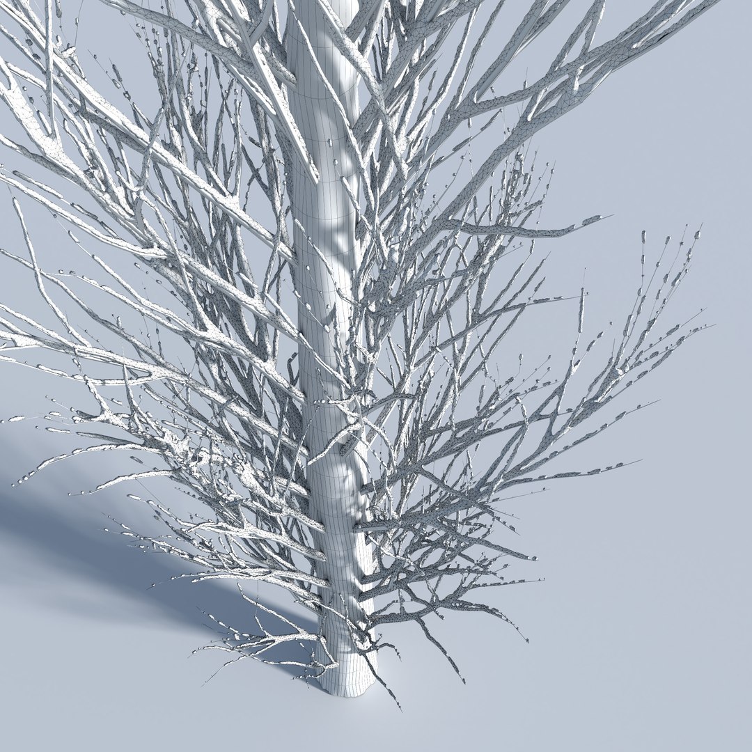 3D trees 4 model https://p.turbosquid.com/ts-thumb/28/HKIKSR/2y6AZK8t/three_s_48/jpg/1543040064/1920x1080/fit_q87/cdf1033f3d5cb3c4f6f6eec0c95f2462071285fb/three_s_48.jpg