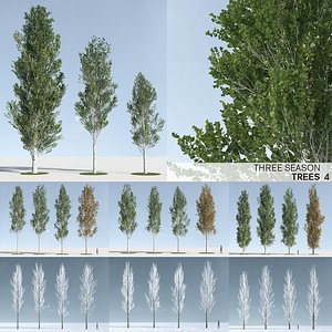 Three Season Trees 4: Poplar (+Growfx)