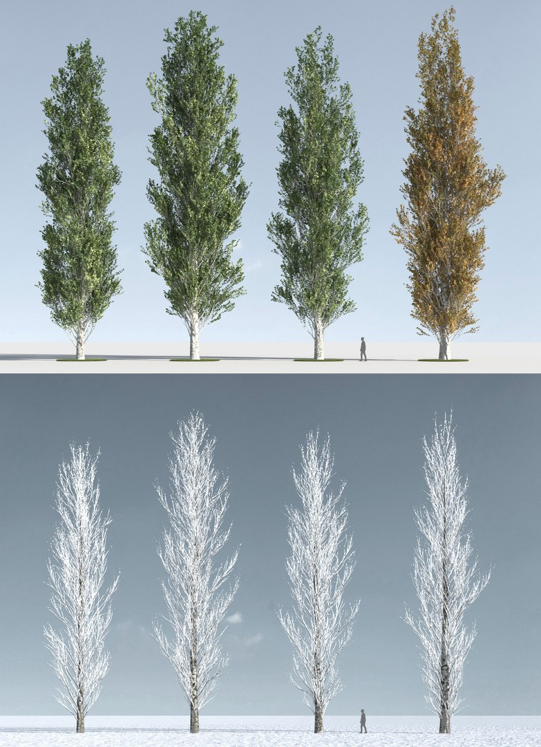 3D trees 4 model https://p.turbosquid.com/ts-thumb/28/HKIKSR/5jJIR0sJ/three_s_47/jpg/1543040030/1920x1080/fit_q87/eb594d913a643c03ff5101e54dfc05e36f4ca5b5/three_s_47.jpg