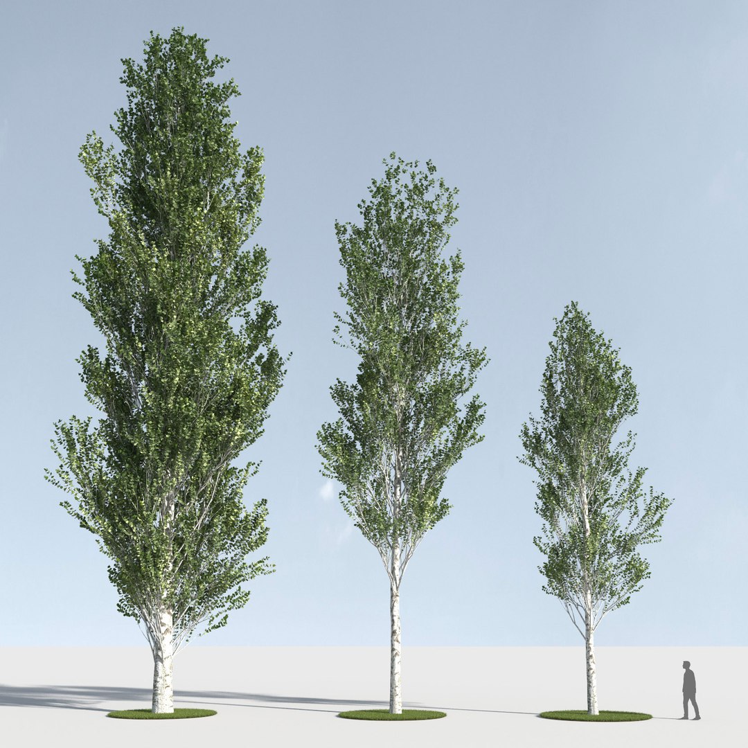 3D trees 4 model https://p.turbosquid.com/ts-thumb/28/HKIKSR/7PoKLtXK/three_s_42/jpg/1543039993/1920x1080/fit_q87/1abc909b1717c6ac0764a888e33f3588fb74204d/three_s_42.jpg