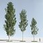 Three Season Trees 4: Poplar (+Growfx)