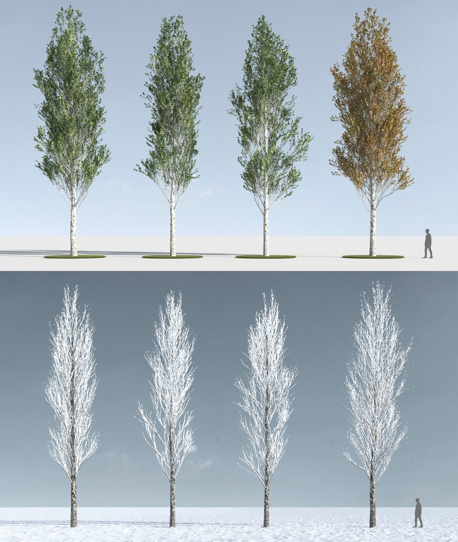 3D trees 4 model https://p.turbosquid.com/ts-thumb/28/HKIKSR/9bUaeAK3/three_s_45/jpg/1543040011/1920x1080/fit_q87/fd61eab35c0be7a433d119c1e67f95a2de8d56ba/three_s_45.jpg