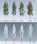 Three Season Trees 4: Poplar (+Growfx)