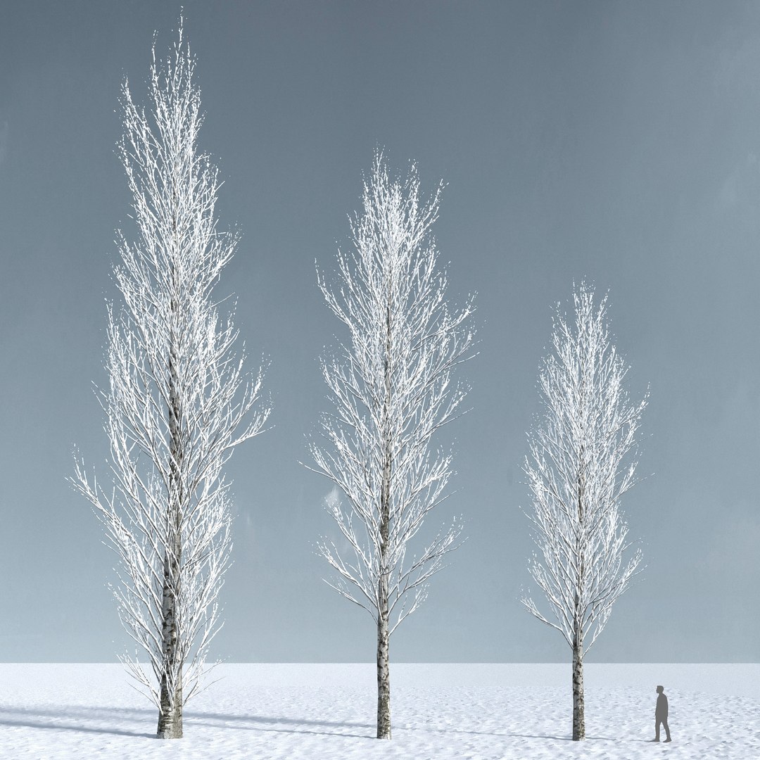 3D trees 4 model https://p.turbosquid.com/ts-thumb/28/HKIKSR/ClmDiRSG/three_s_42b/jpg/1543039993/1920x1080/fit_q87/80391d62fe099768c9139b820f5192553cb7b893/three_s_42b.jpg