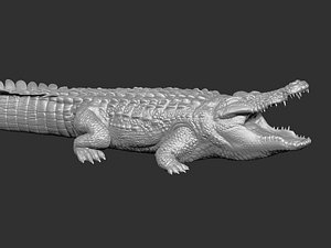 Snake Heads - 3D Printable - Buy Royalty Free 3D model by Bugawuga