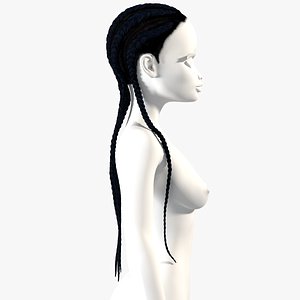 braided hairstyle hair model