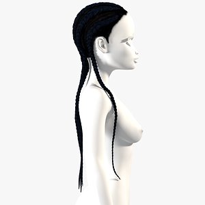 Afro Braids Hairstyle