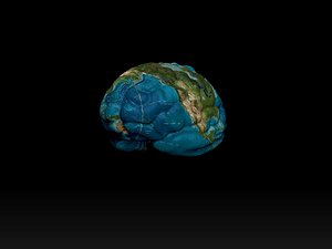 brain