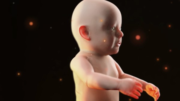 3D baby new born rigged Low-poly