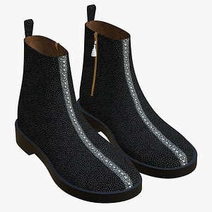 Stingray Leather Boots 3D model