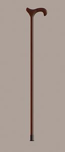 Walking Stick