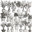 exotic plants pots interior 3D model