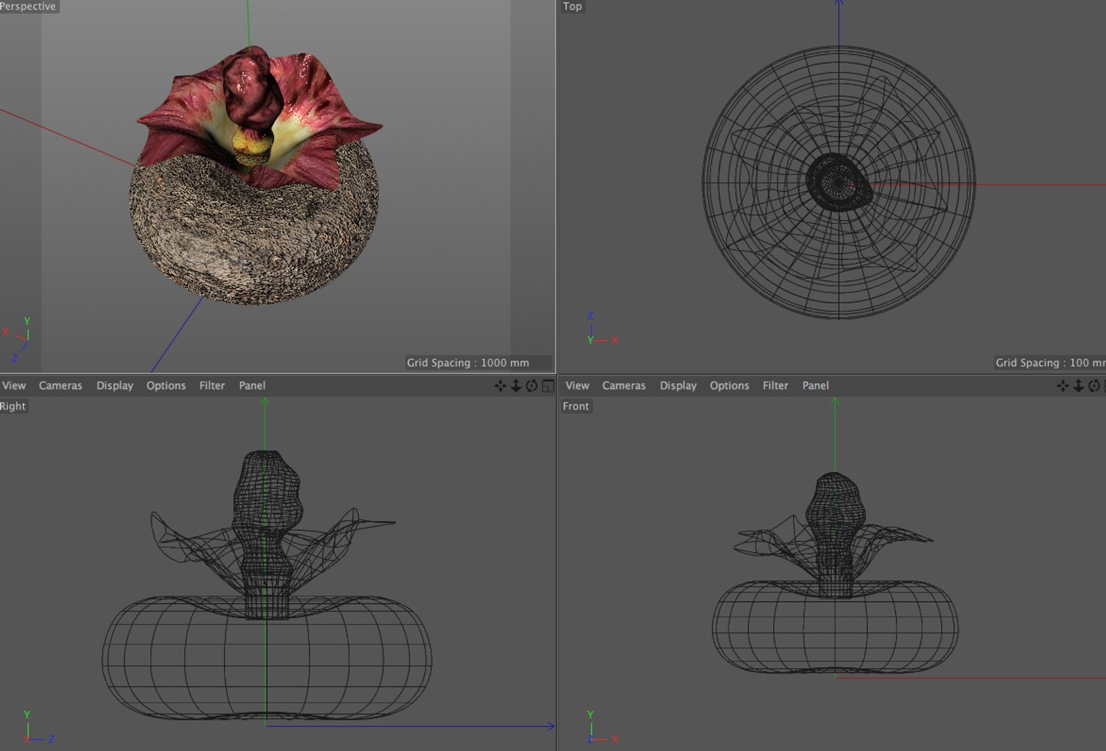 3D vegetables model https://p.turbosquid.com/ts-thumb/29/4zbQPs/02OE5eoK/11/jpg/1587316229/1920x1080/fit_q87/f8ebd166c450ee041f33ff8d363abb8709fcda4e/11.jpg