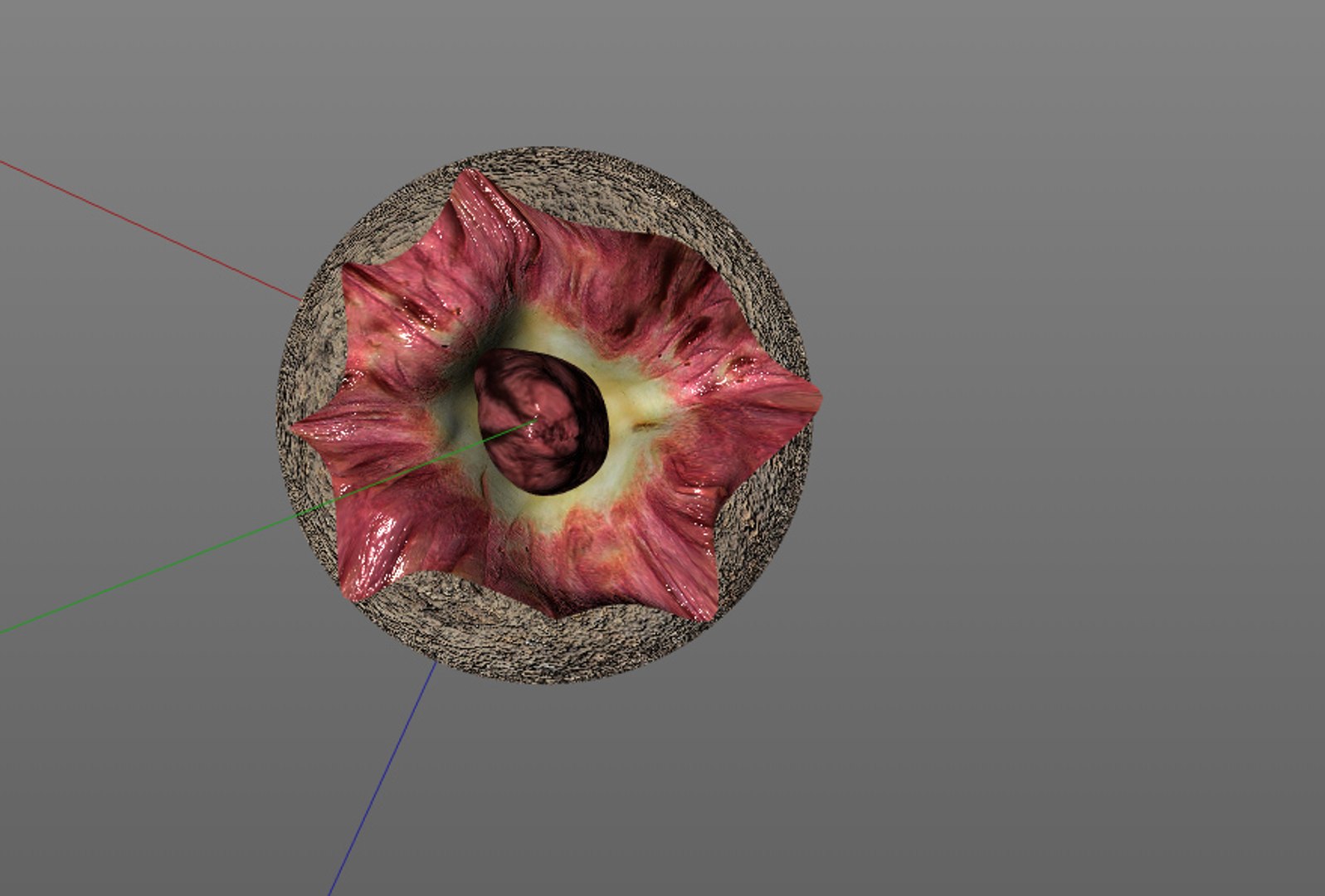 3D vegetables model https://p.turbosquid.com/ts-thumb/29/4zbQPs/MV8HFRy0/10/jpg/1587316229/1920x1080/fit_q87/f98a2cc8caca8ee65effeb069d05dbb2cb939a22/10.jpg
