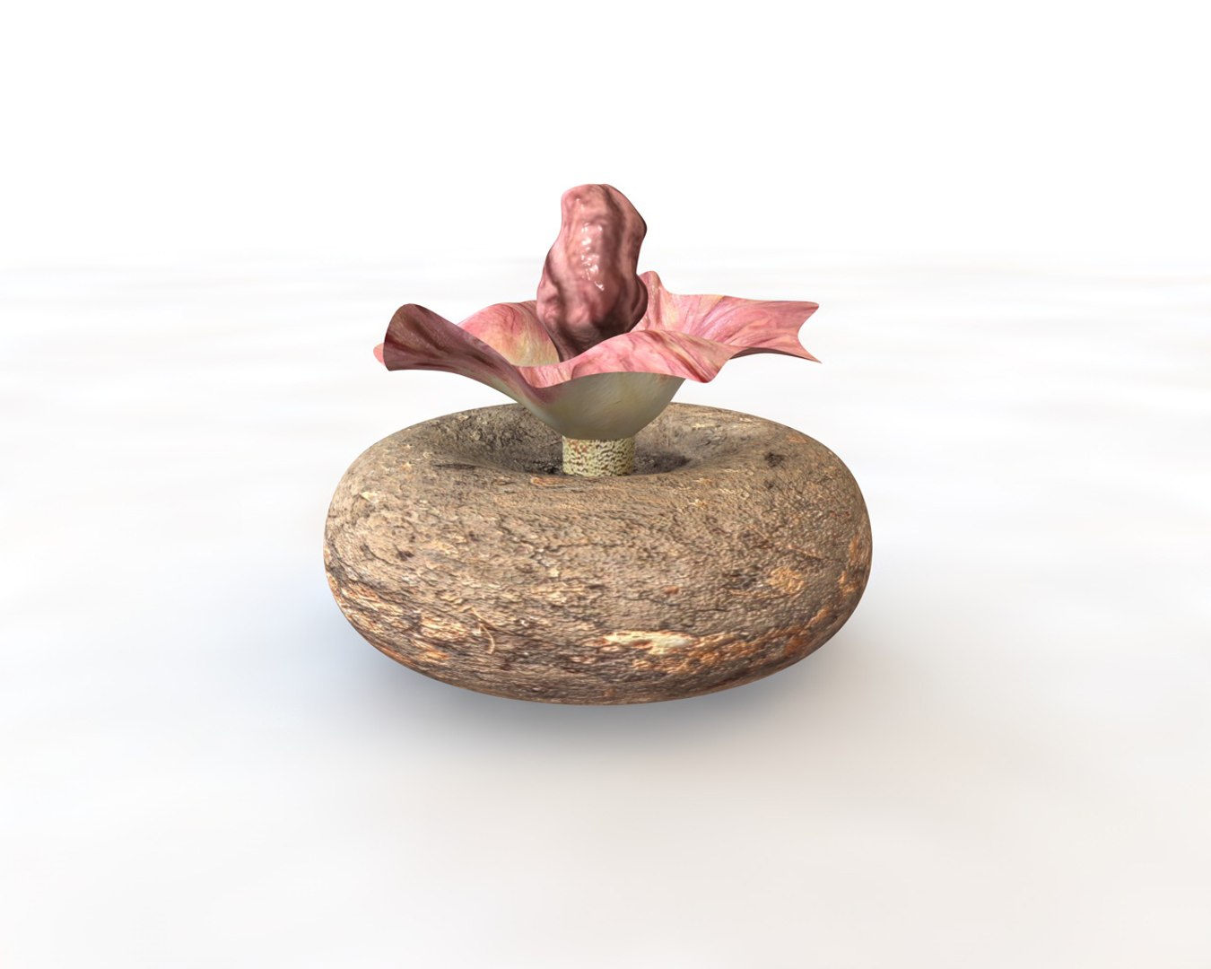 3D vegetables model https://p.turbosquid.com/ts-thumb/29/4zbQPs/Y1iuhSX2/3/jpg/1587316229/1920x1080/fit_q87/c267175f3d79fb3f2622e5aeabdb15c1dd0d164d/3.jpg