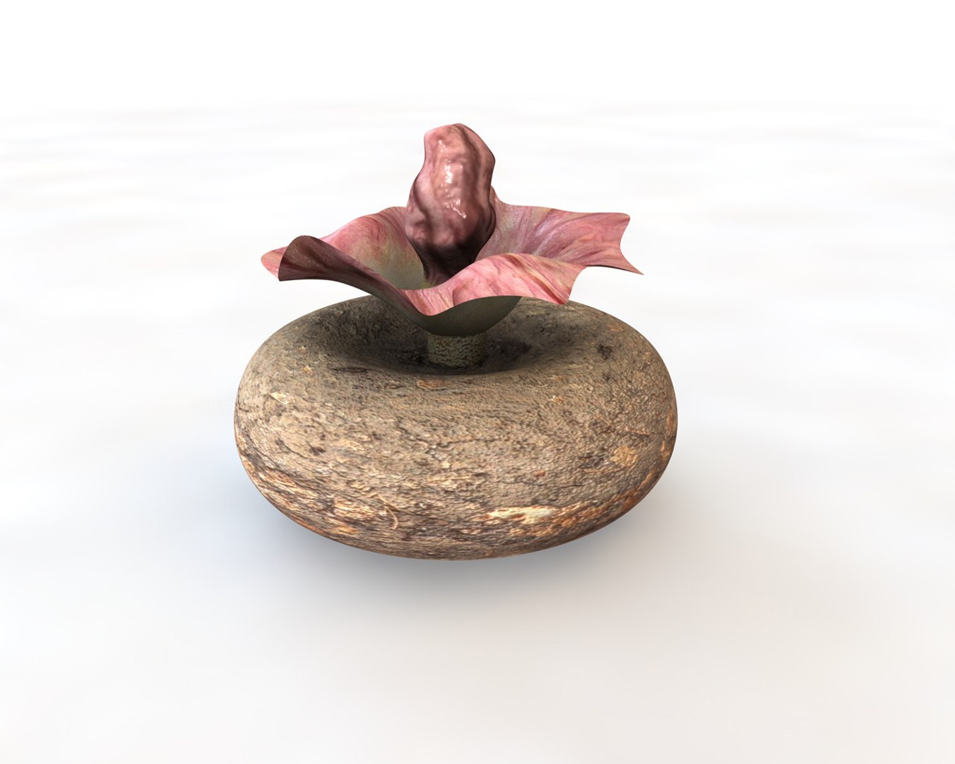 3D vegetables model https://p.turbosquid.com/ts-thumb/29/4zbQPs/nLvZjZeI/5/jpg/1587316229/1920x1080/fit_q87/1f06e2c9fd8b4f68be1d0b95a1c2663287da2c39/5.jpg