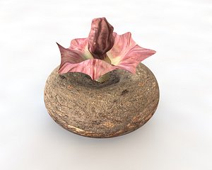 3D vegetables model