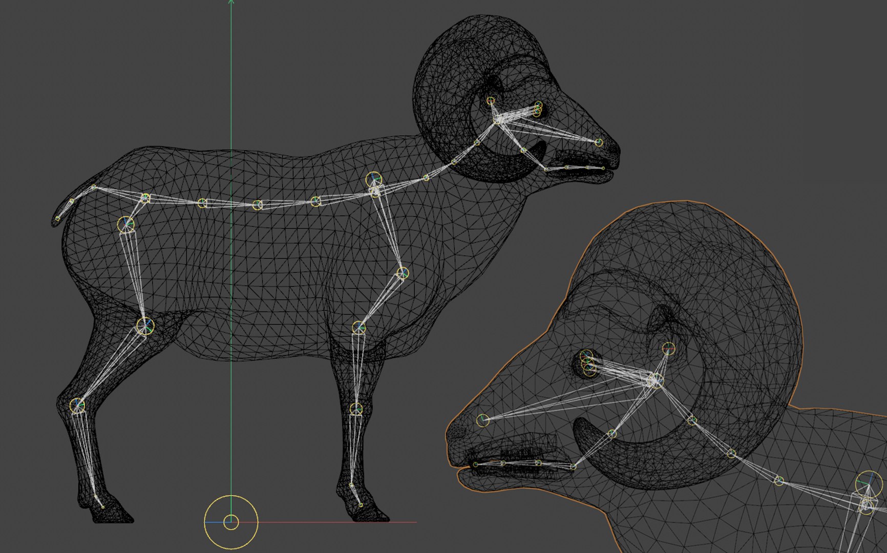 Wild sheep female male Low-poly model - TurboSquid 1860825