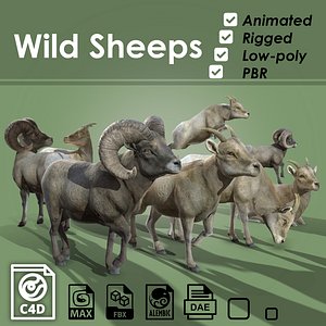 Wild sheep female male Low-poly model