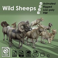 Wild sheep female male Low-poly