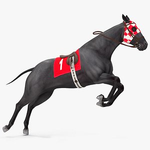 racehorse black horse rigged 3D model