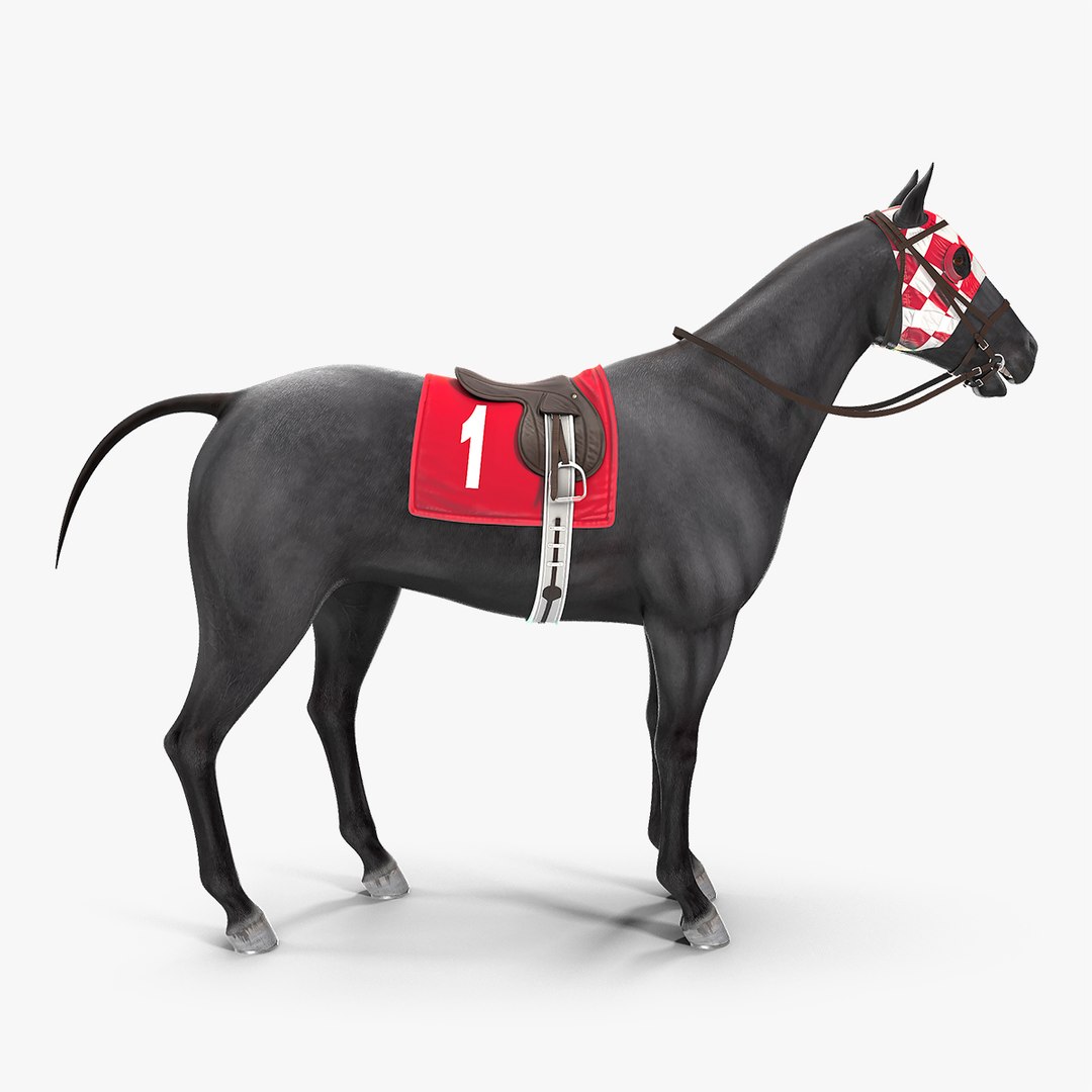 Racehorse Black Rigged for Cinema 4D 3D model preview