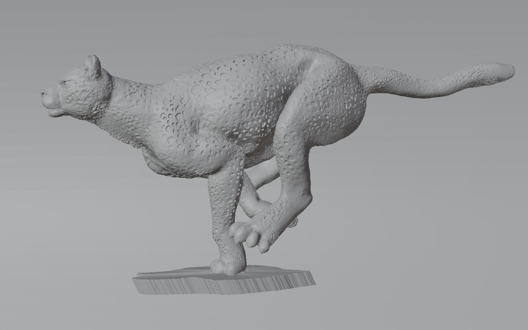 3D Cheetah - TurboSquid 2196159