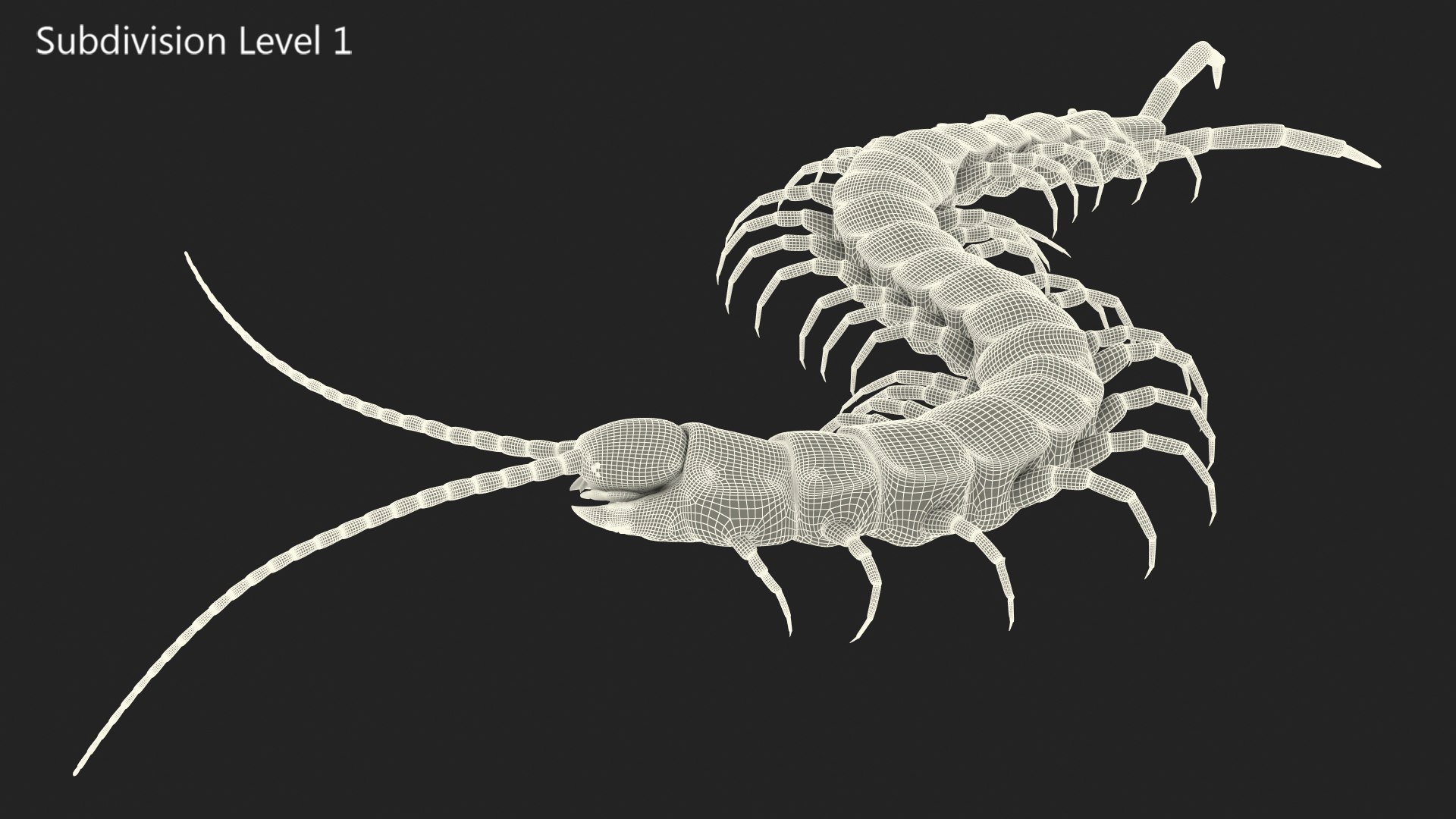 giant desert centipede scolopendra 3D https://p.turbosquid.com/ts-thumb/29/CtbfMV/2IAkPWTt/giantdesertcentipedescolopendraheroscrawling3dsmodel014/jpg/1589407236/1920x1080/fit_q87/0b528e698356816a38ec186d1f89b172c9957ff6/giantdesertcentipedescolopendraheroscrawling3dsmodel014.jpg
