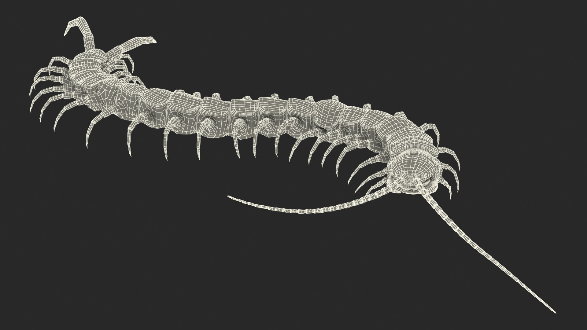 giant desert centipede scolopendra 3D https://p.turbosquid.com/ts-thumb/29/CtbfMV/6XgAZ6jt/giantdesertcentipedescolopendraheroscrawling3dsmodel022/jpg/1589407305/1920x1080/fit_q87/f3588637b7b8245c5896d56fee71b2220d046aa4/giantdesertcentipedescolopendraheroscrawling3dsmodel022.jpg