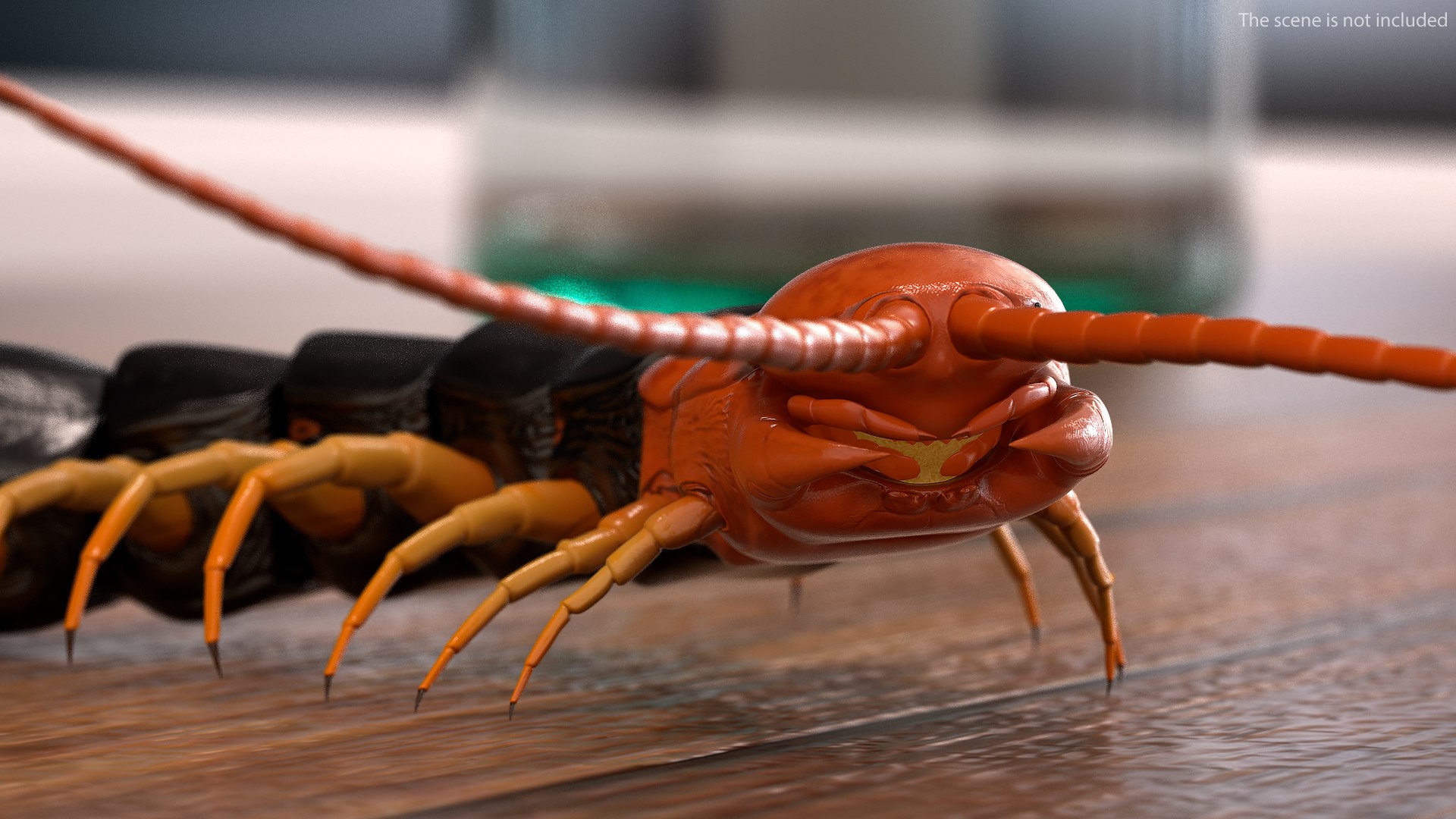 giant desert centipede scolopendra 3D https://p.turbosquid.com/ts-thumb/29/CtbfMV/7cq3Hi72/giantdesertcentipedescolopendraheroscrawling3dsmodel004/jpg/1589407143/1920x1080/fit_q87/b0c74fc9b6fad58685026c66f5252c5d48ffb259/giantdesertcentipedescolopendraheroscrawling3dsmodel004.jpg