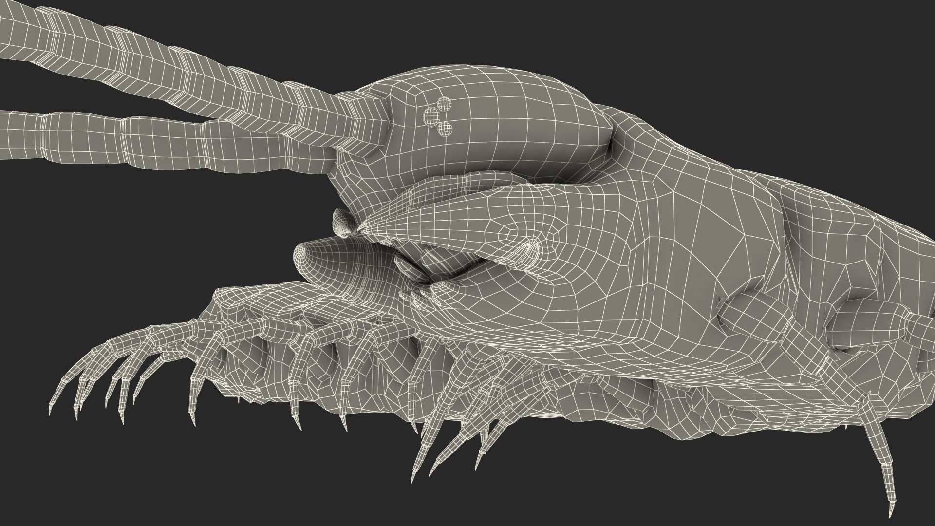 giant desert centipede scolopendra 3D https://p.turbosquid.com/ts-thumb/29/CtbfMV/I9vSBevk/giantdesertcentipedescolopendraheroscrawling3dsmodel026/jpg/1589407340/1920x1080/fit_q87/6de1796cbb15cad1527c1f434513839c2ca99e02/giantdesertcentipedescolopendraheroscrawling3dsmodel026.jpg