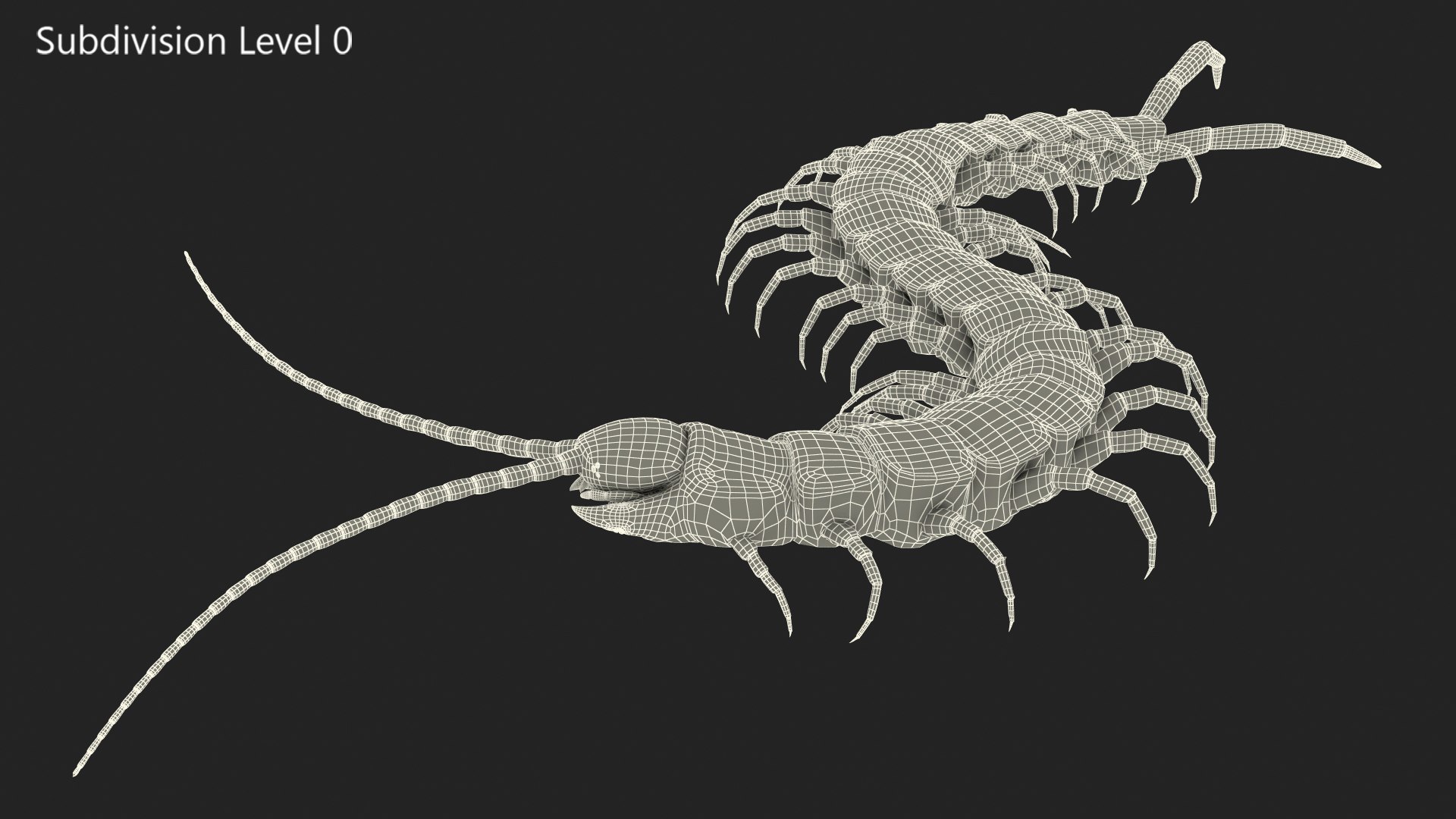 giant desert centipede scolopendra 3D https://p.turbosquid.com/ts-thumb/29/CtbfMV/gJUhshDD/giantdesertcentipedescolopendraheroscrawling3dsmodel013/jpg/1589407228/1920x1080/fit_q87/8d748692941bc257f212790279ef25cb70d5b8df/giantdesertcentipedescolopendraheroscrawling3dsmodel013.jpg