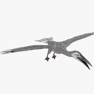 3D Ichthyornis bird model