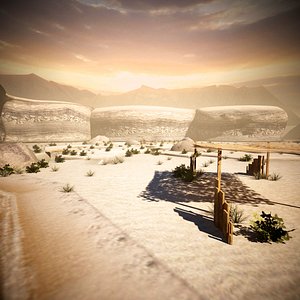 Desert Environment