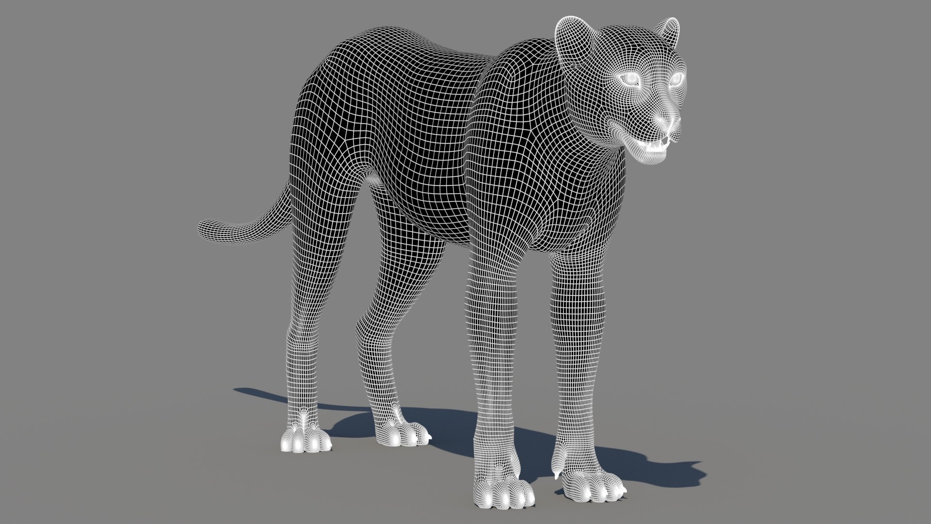3D Game-Ready Cheetah 3D Model https://p.turbosquid.com/ts-thumb/29/MEVXgx/CM/cheetah3dmodelwireframe02/jpg/1790798807/1920x1080/fit_q87/fac9682e80acd7c51071eaa1dd8a05cb2b2f0858/cheetah3dmodelwireframe02.jpg