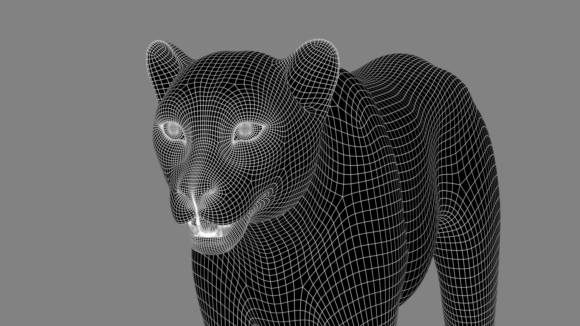 3D Game-Ready Cheetah 3D Model https://p.turbosquid.com/ts-thumb/29/MEVXgx/lD/cheetah3dmodelwireframe06/jpg/1790798808/1920x1080/fit_q87/e818b6bba040f6a9afd4664093f7003d921944d6/cheetah3dmodelwireframe06.jpg