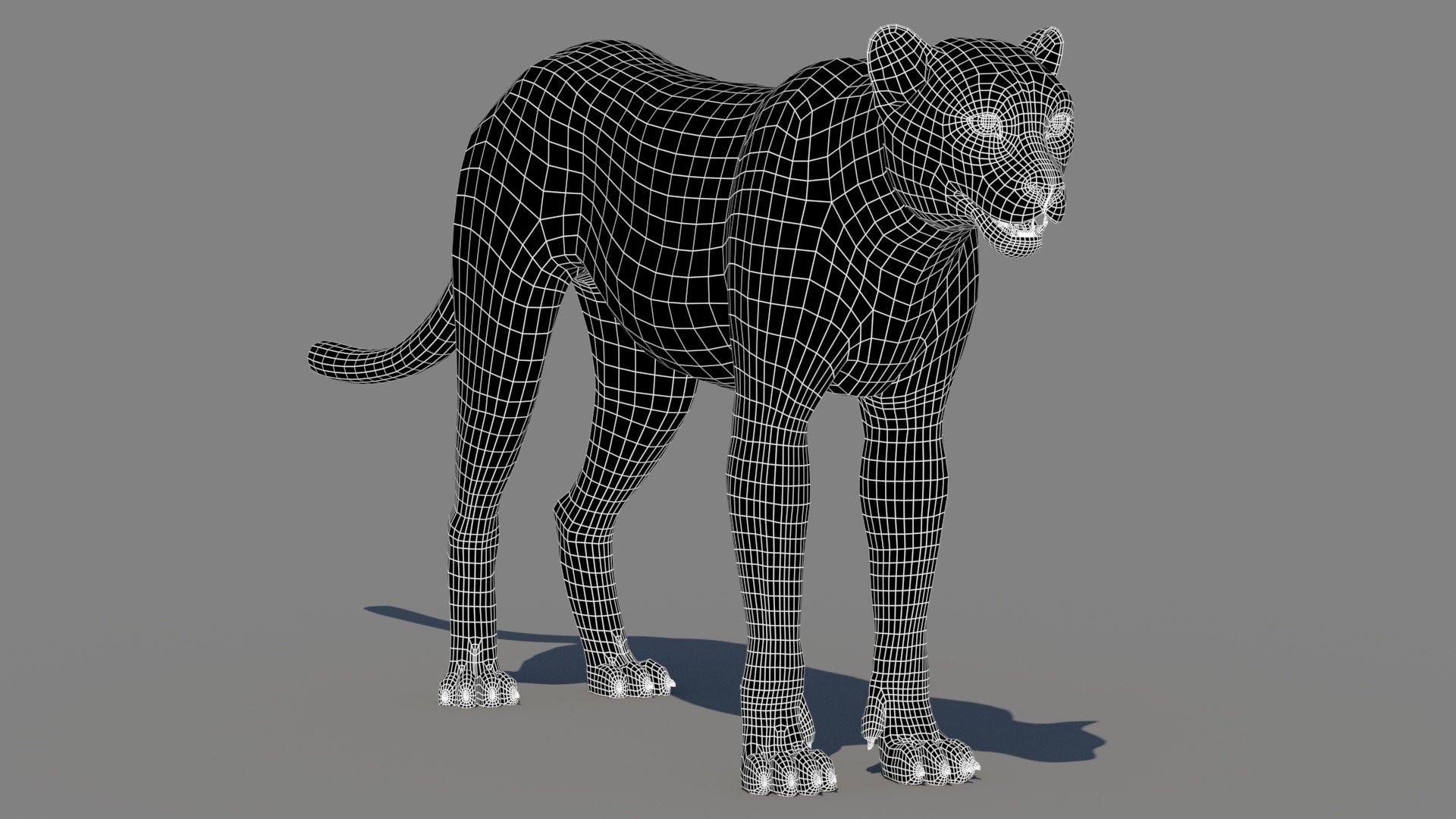 3D Game-Ready Cheetah 3D Model https://p.turbosquid.com/ts-thumb/29/MEVXgx/vs/cheetah3dmodelwireframe01/jpg/1790798806/1920x1080/fit_q87/4eae2cb0750d32b8f73c90b4205adc8d6173fdbe/cheetah3dmodelwireframe01.jpg