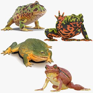 frogs rigged 3 3D model