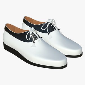 Leather Lace Up Shoes V16 3D