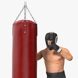 Boxer Training with Punching Bag 3D model