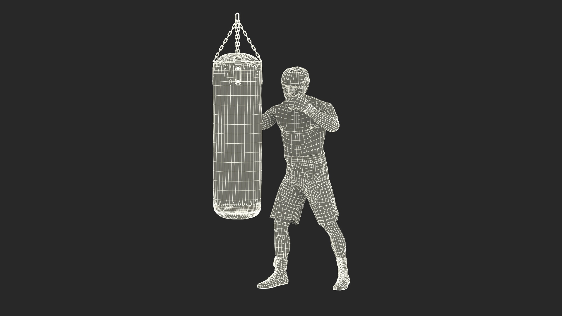 Boxer Training With Punching Bag 3D Model - TurboSquid 2385229