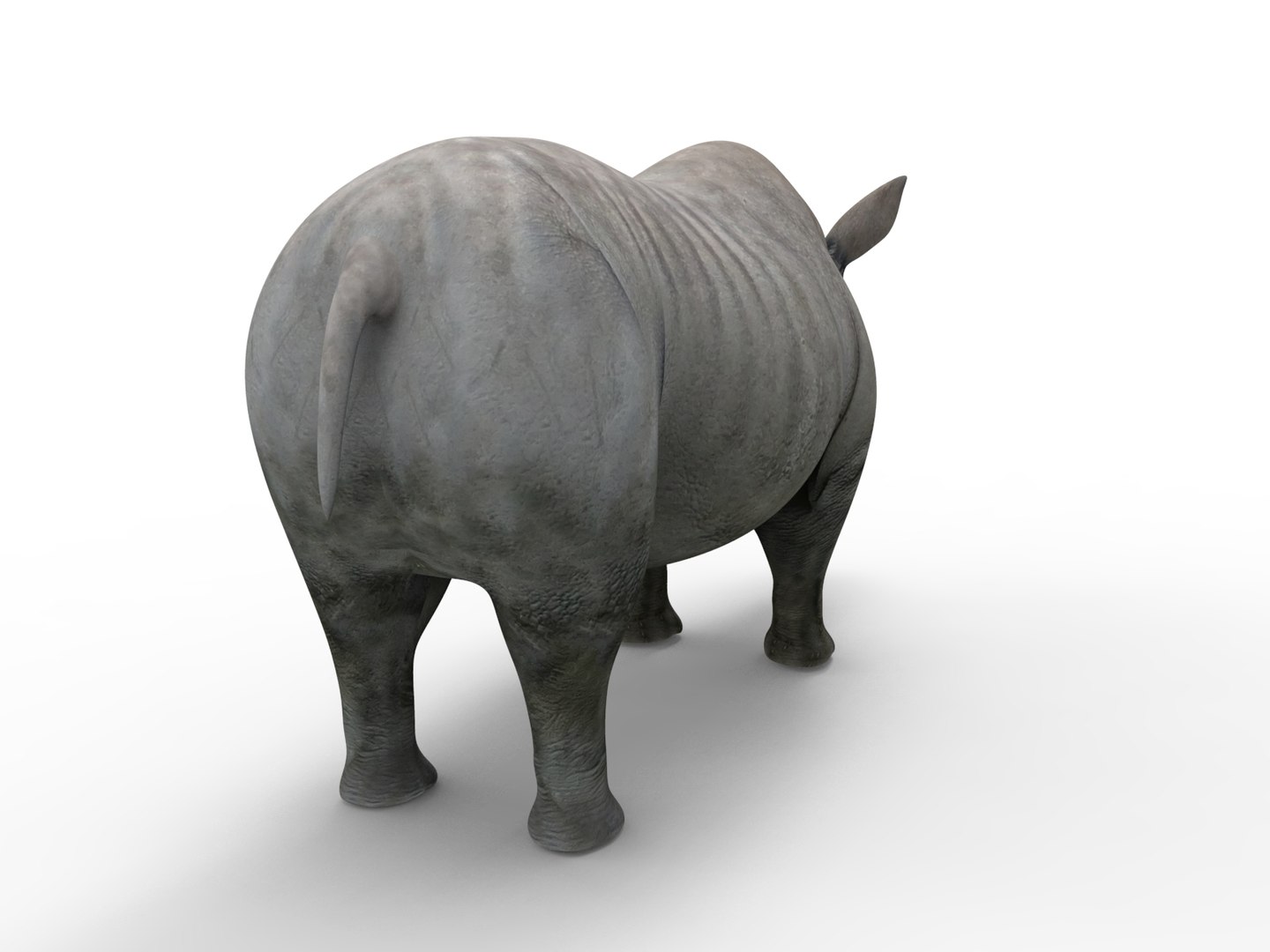 3D Realistic Rhino - TurboSquid 1256828