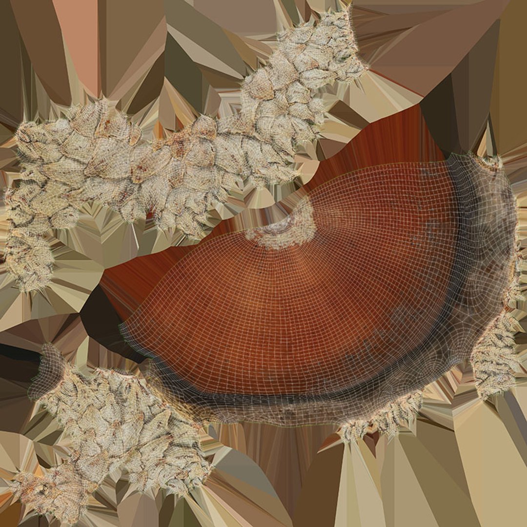 Acorn 03 3D Model - TurboSquid 2280844