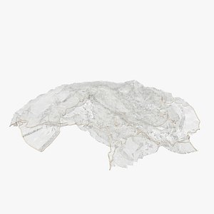 Medieval Fish Net 04 model