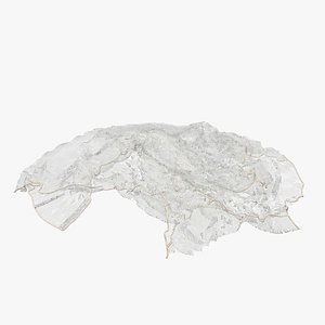 Medieval Fish Net 04